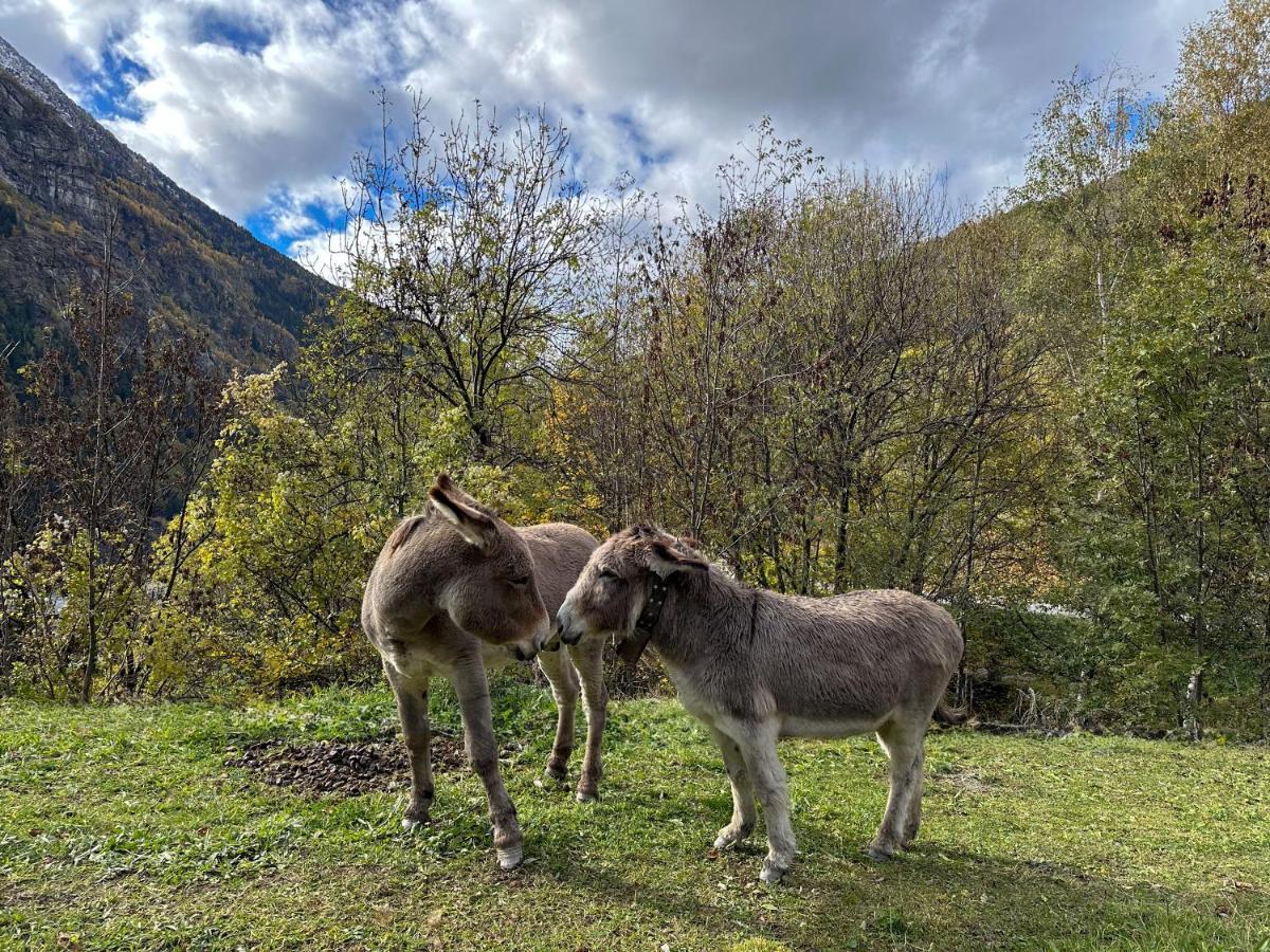 Cozyloge, Orelle & Les 3 Vallees エクステリア 写真